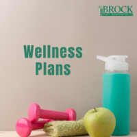 Dumbells, a towel, an apple and a waterbottle with the words wellness plans written